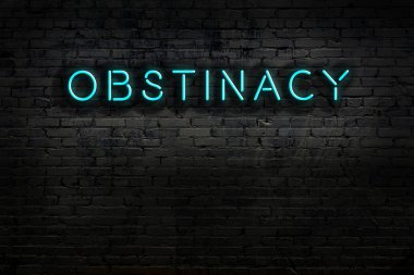 Geceleri duvarda neon levhası var. Yazı inatçılığı