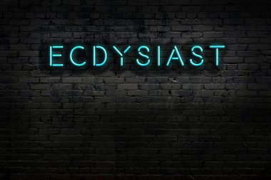 Tuğla duvara yazılı neon levhası. Gece görünümü