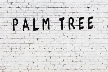 Beyaz tuğla duvara siyah boya ile yazılmış bir palmiye ağacı..