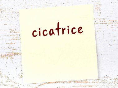 Tahta duvardaki sarı yapışkan notta elle yazılmış cicatrice yazısı var.