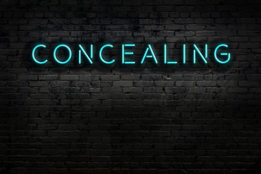 Duvara yazılı neon levhası var. Gece görünümü