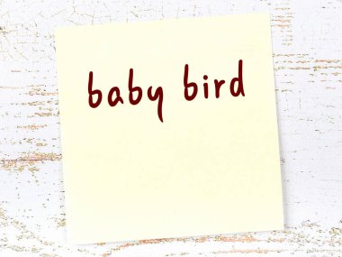 Yavru kuşu hatırlatma kavramı. Tahta duvarda üzerinde yazı olan sarı yapışkan kağıt.