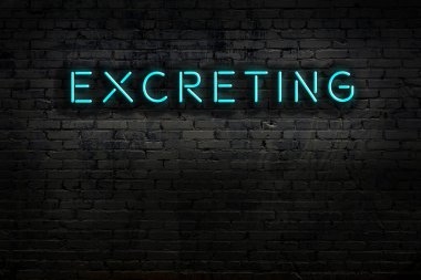 Tuğla duvara yapıştırılmış neon levhası. Gece görünümü