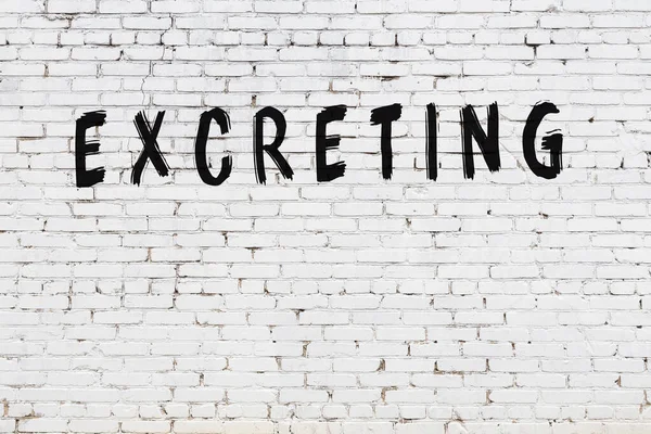 Beyaz tuğla duvarda siyah boyayla yazılmış dışkı..