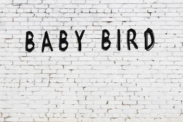 Beyaz tuğlalı duvar. Üzerinde siyah boyayla el yazısıyla yavru kuş yazıyor.
