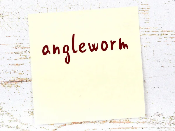 Solucan hakkında hatırlatma kavramı. Tahta duvarda üzerinde yazı olan sarı yapışkan kağıt.