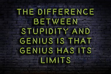 Tuğla duvardaki ışıklı neon tabela olarak bilgece alıntı