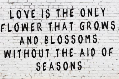 Üzerinde mantıklı alıntıların yazılı olduğu siyah boyanmış beyaz tuğla duvar.