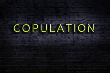 Duvara yazı kazınmış neon tabela. Gece görünümü