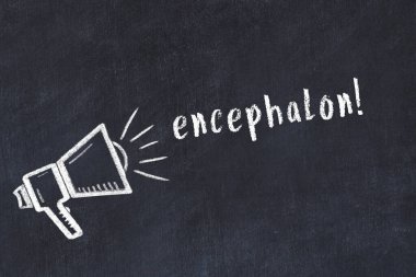 Hoparlör çizimi ve yazı ensefalonu olan siyah karatahta.