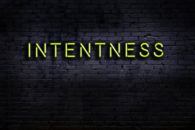 Duvara yazı yazma yoğunluğu olan neon levhası. Gece görünümü