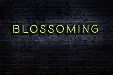 Geceleri duvarda neon levhası var. Yazı çiçek açıyor.