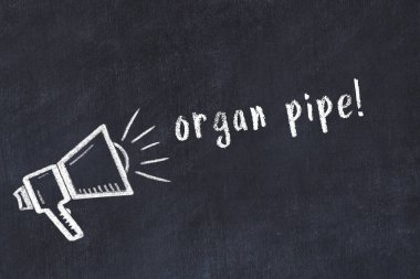 Hoparlörün tebeşir çizimi ve siyah masanın üzerine el yazısıyla yazılmış organ borusu.