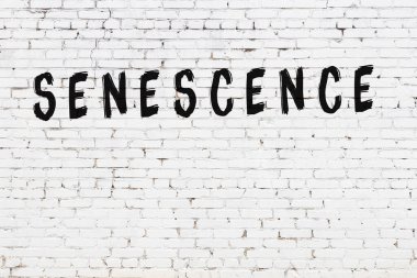 Beyaz tuğla duvara siyah boya ile yazılmış bir yazı..