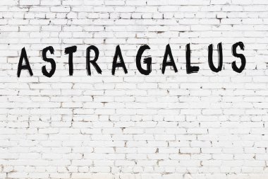Beyaz tuğla duvara siyah boya ile yazılmış astragalus yazımı.
