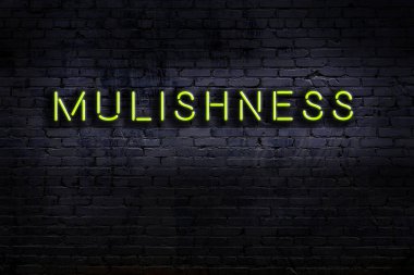 Tuğla duvara karşı yazıtlı katırlık yazılı neon tabela. Gece görünümü