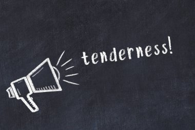 Hoparlörün tebeşir çizimi ve siyah masanın üzerine el yazısıyla yazılmış hassasiyet.