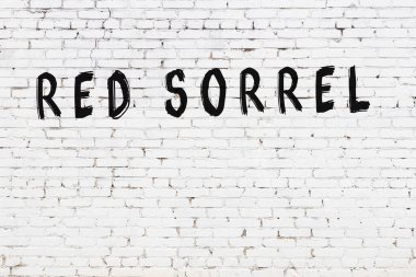 Beyaz tuğla duvara siyah boya ile yazılmış kırmızı süvari alfabesi..