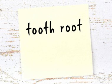 Diş kökünü hatırlatma kavramı. Tahta duvarda üzerinde yazı olan sarı yapışkan kağıt.