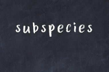 Siyah masadaki tebeşir el yazısı alt türleri