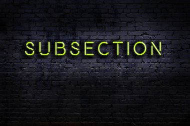 Duvara yazı yazan neon tabela. Gece görünümü