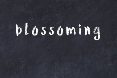 Üzerinde el yazısıyla yazılmış yazı tahtasının filizlendiği üniversite tahtası.