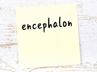 Tahta duvardaki sarı yapışkan notta el yazısıyla yazılmış ensefalon.