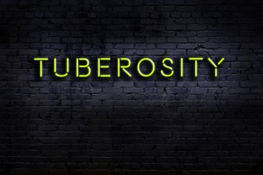 Duvara yazı kazınmış neon levhası. Gece görünümü