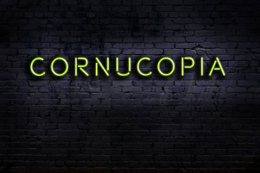 Duvara yazı kazınmış neon levhası var. Gece görünümü