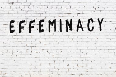 Yazılı beyaz tuğla duvar, efemine el yazısı, siyah boya.