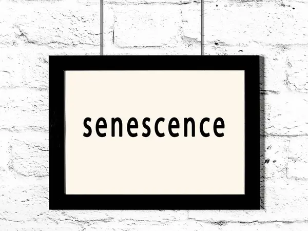 Black Wooden Frame Inscription Senescence Hanging White Brick Wall — Stock Photo, Image