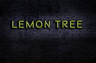 Geceleri duvarda neon levhası var. Yazılı limon ağacı