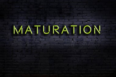 Duvara yazı kazınmış neon levhası. Gece görünümü