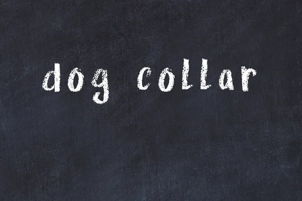 College Chalkboard Handwritten Inscription Dog Collar — Stock Photo, Image