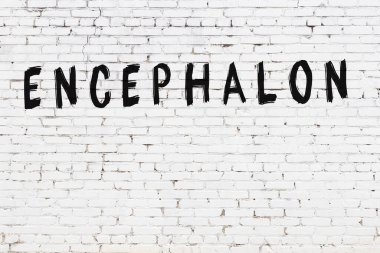 Beyaz tuğla duvara siyah boya ile yazılmış bir ensefalon..