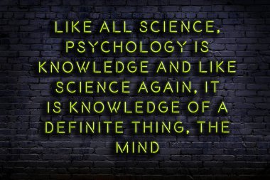 Tuğla duvardaki ışıklı neon tabela olarak bilgece alıntı