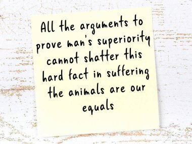 Sarı yapışkan not, ahşap duvarda el yazısıyla yazılmış zekice bir alıntıyla.