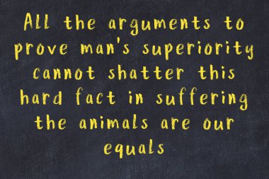 Siyah masa üzerine tebeşirle yazılmış zekice bir söz.