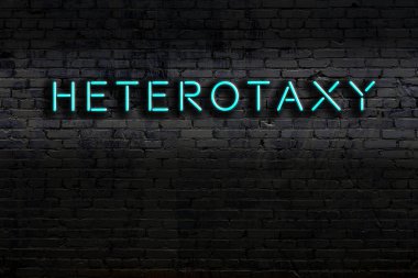 Geceleri duvarda neon levhası var. Yazı: Heterotoksi