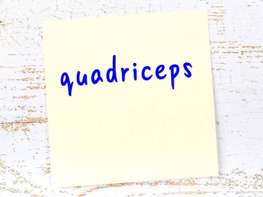 Kuadriseps hakkında hatırlatma kavramı. Tahta duvarda üzerinde yazı olan sarı yapışkan kağıt.