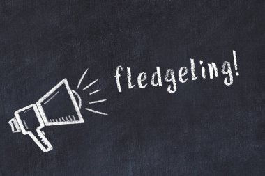 Üzerinde hoparlör çizimi ve yazıtlar olan siyah karatahta.