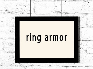 Siyah ahşap çerçeve ve beyaz tuğla duvarda asılı bir zırh. 