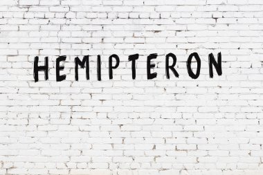 Beyaz tuğla duvara siyah boya ile yazılmış hemipteron yazımı.