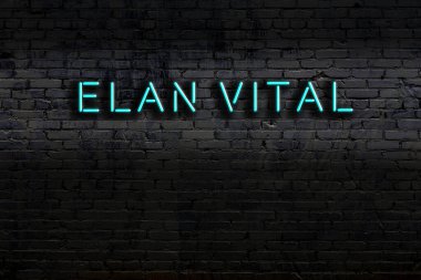 Tuğla duvara karşı hayati önem taşıyan yazıtlı neon levhası. Gece görünümü