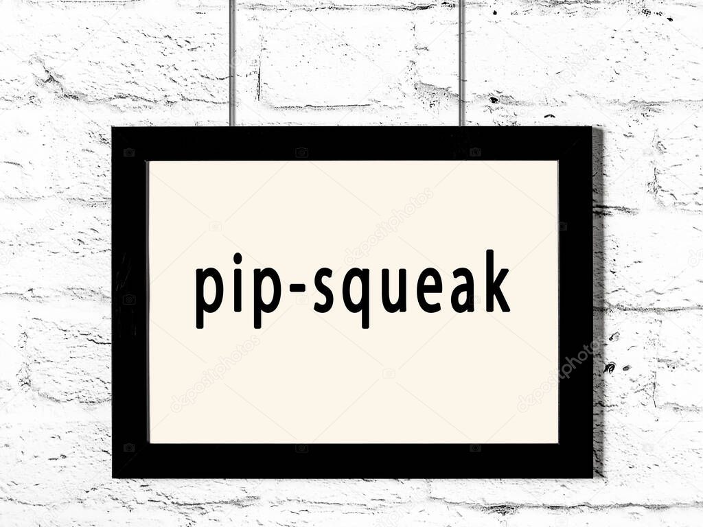 Black wooden frame with inscription pip-squeak hanging on white brick wall 