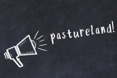 Hoparlörün tebeşir çizimi ve siyah masanın üzerine el yazısıyla yazılmış otlak.