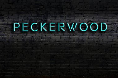 Geceleri duvarda neon levhası var. Yazıt ağaçkakanı.