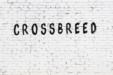 Yazıt, beyaz tuğla duvarda siyah boyayla yazılmış..