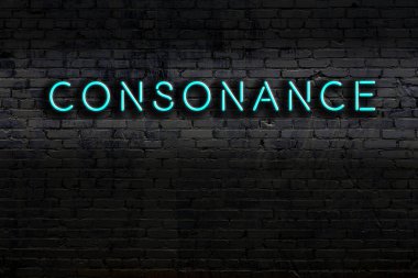 Tuğla duvara karşı yazıtlı neon işareti. Gece görünümü