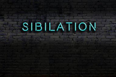 Geceleri duvarda neon levhası var. Yazı sibilasyonu